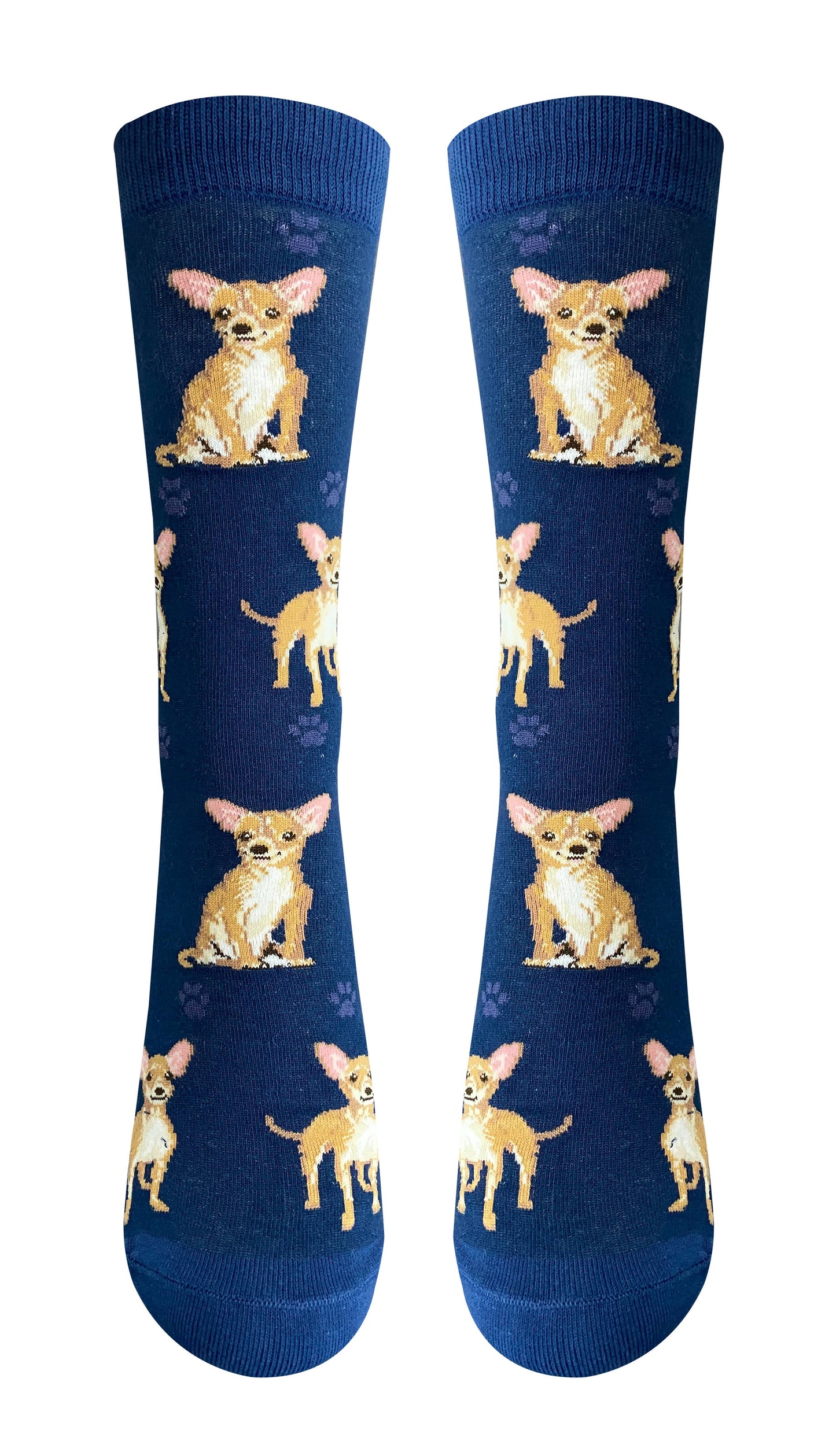 Tan Chihuahua Socks - Fun Novelty Dog Socks - Unisex