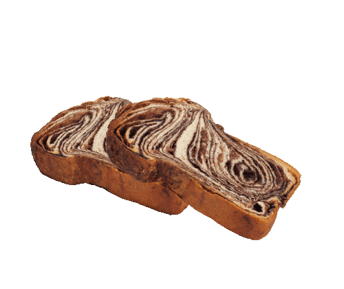Chocolate babka slice