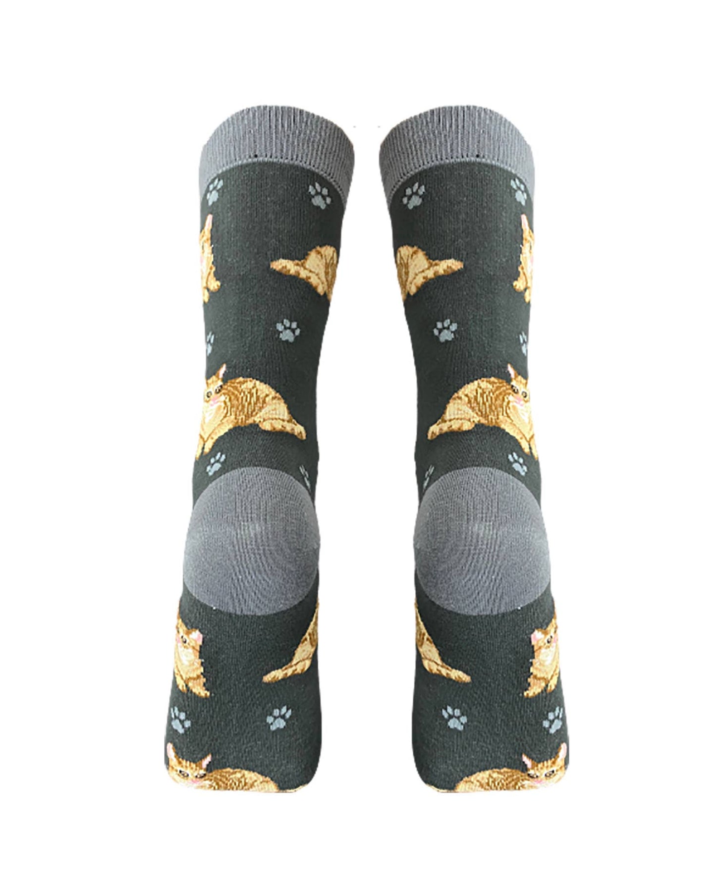 Orange Tabby Cat Socks - Unisex - Fun Novelty Dog Socks