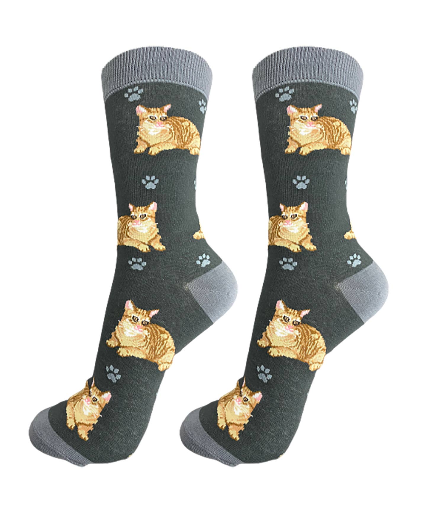 Orange Tabby Cat Socks - Unisex - Fun Novelty Dog Socks