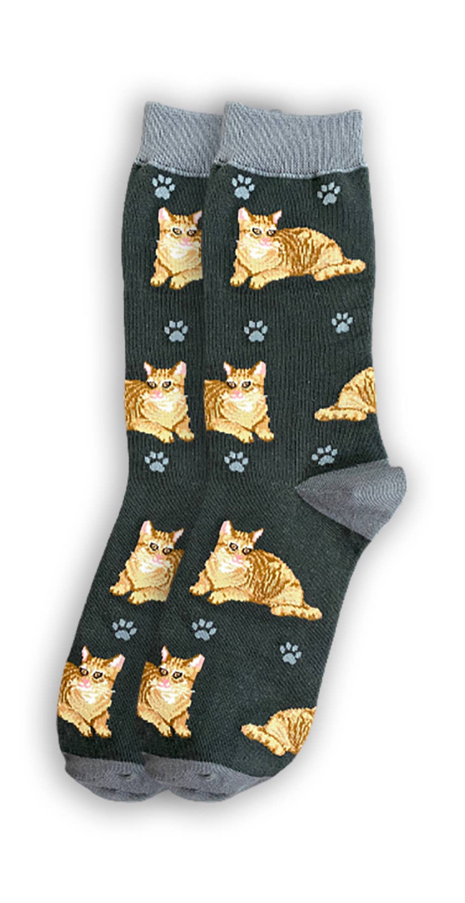 Orange Tabby Cat Socks - Unisex - Fun Novelty Dog Socks