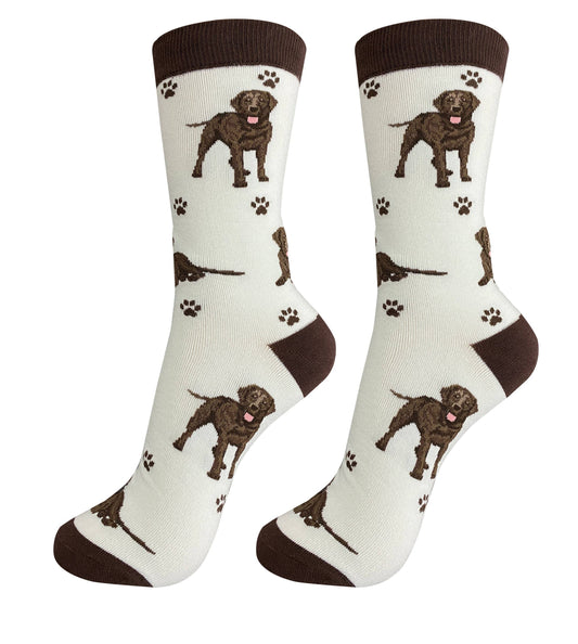 Chocolate Labrador Full Body Sock