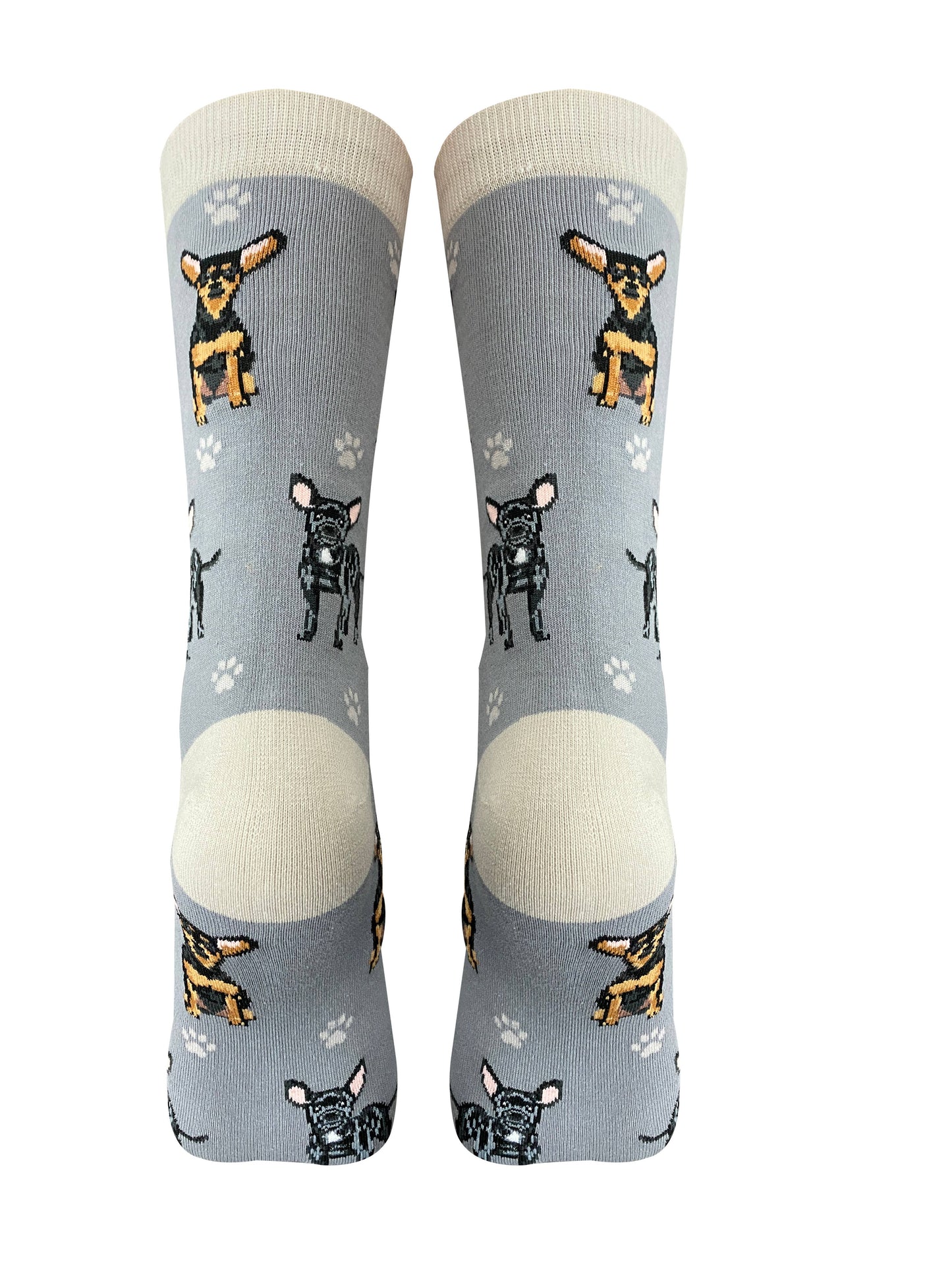 Black Chihuahua - Fun Novelty Dog Socks - Unisex