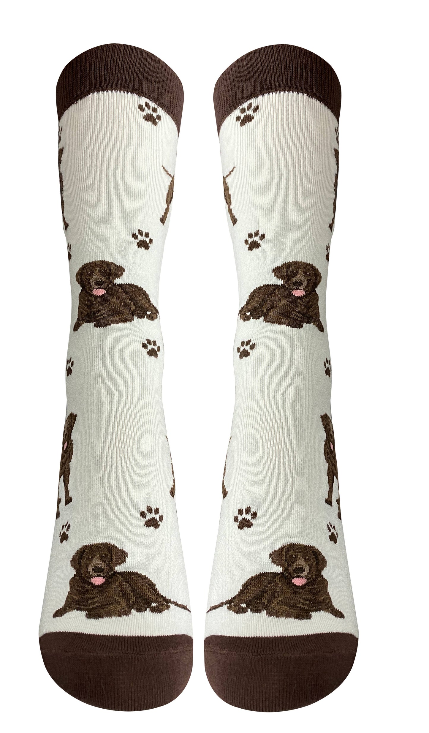 Chocolate Labrador Full Body Sock