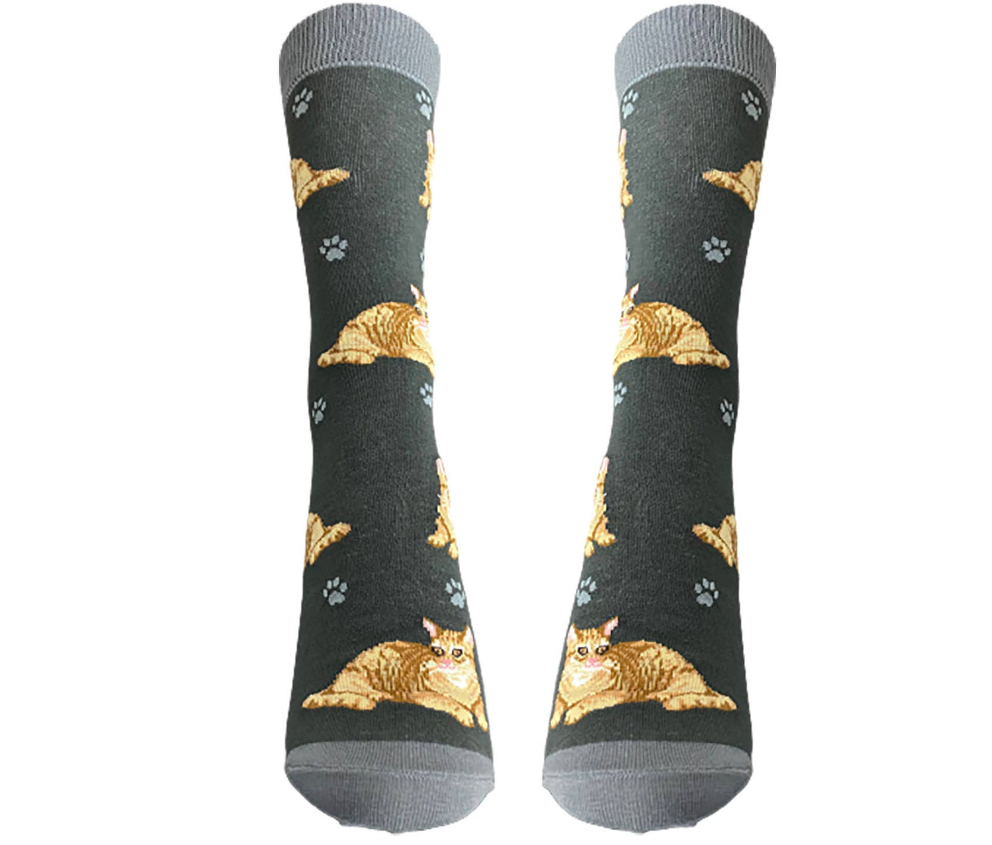 Orange Tabby Cat Socks  - Unisex - Fun Novelty Dog Socks