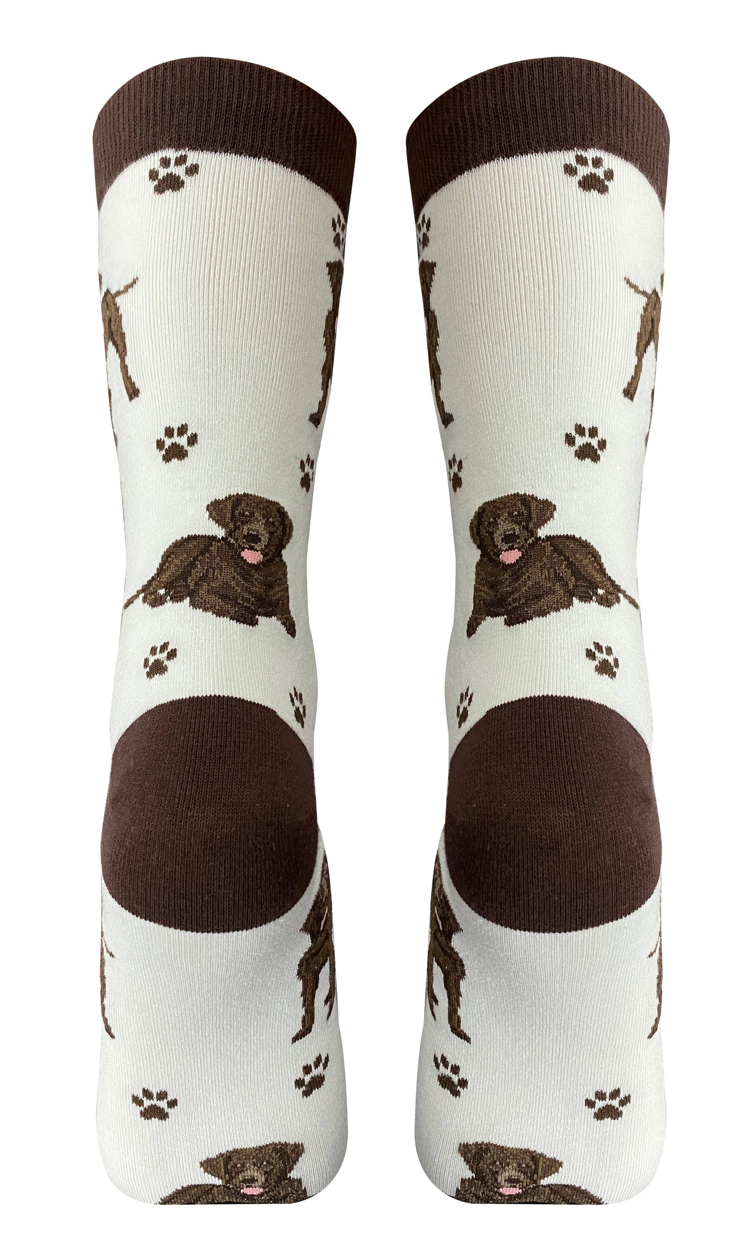 Chocolate Labrador Full Body Sock