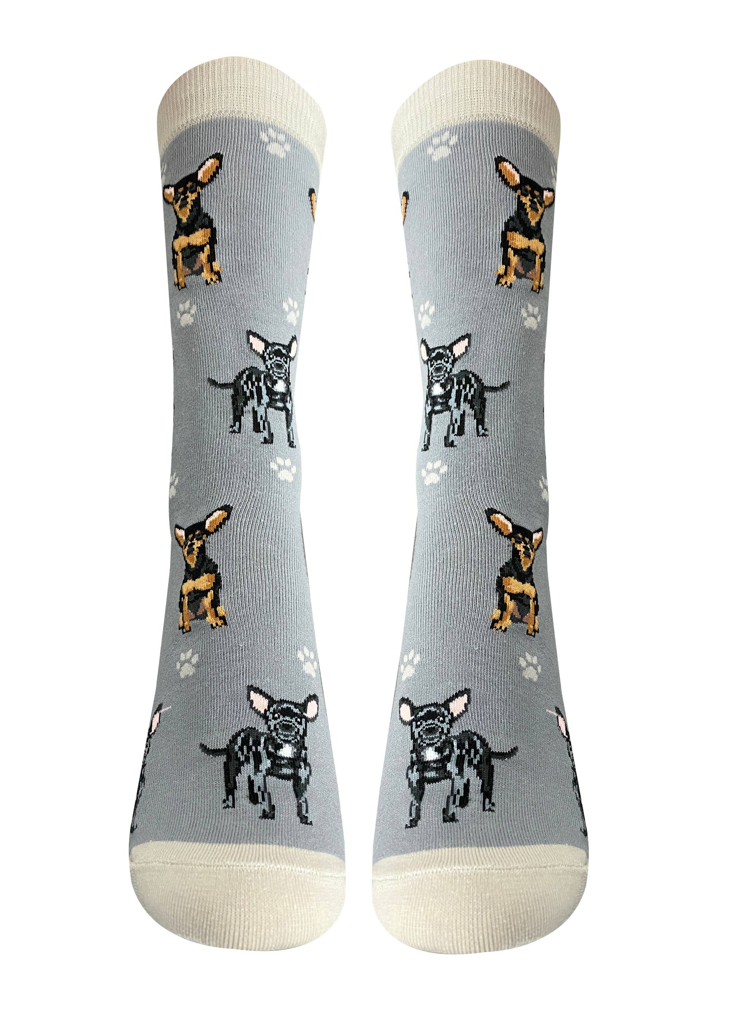 Black Chihuahua - Fun Novelty Dog Socks - Unisex