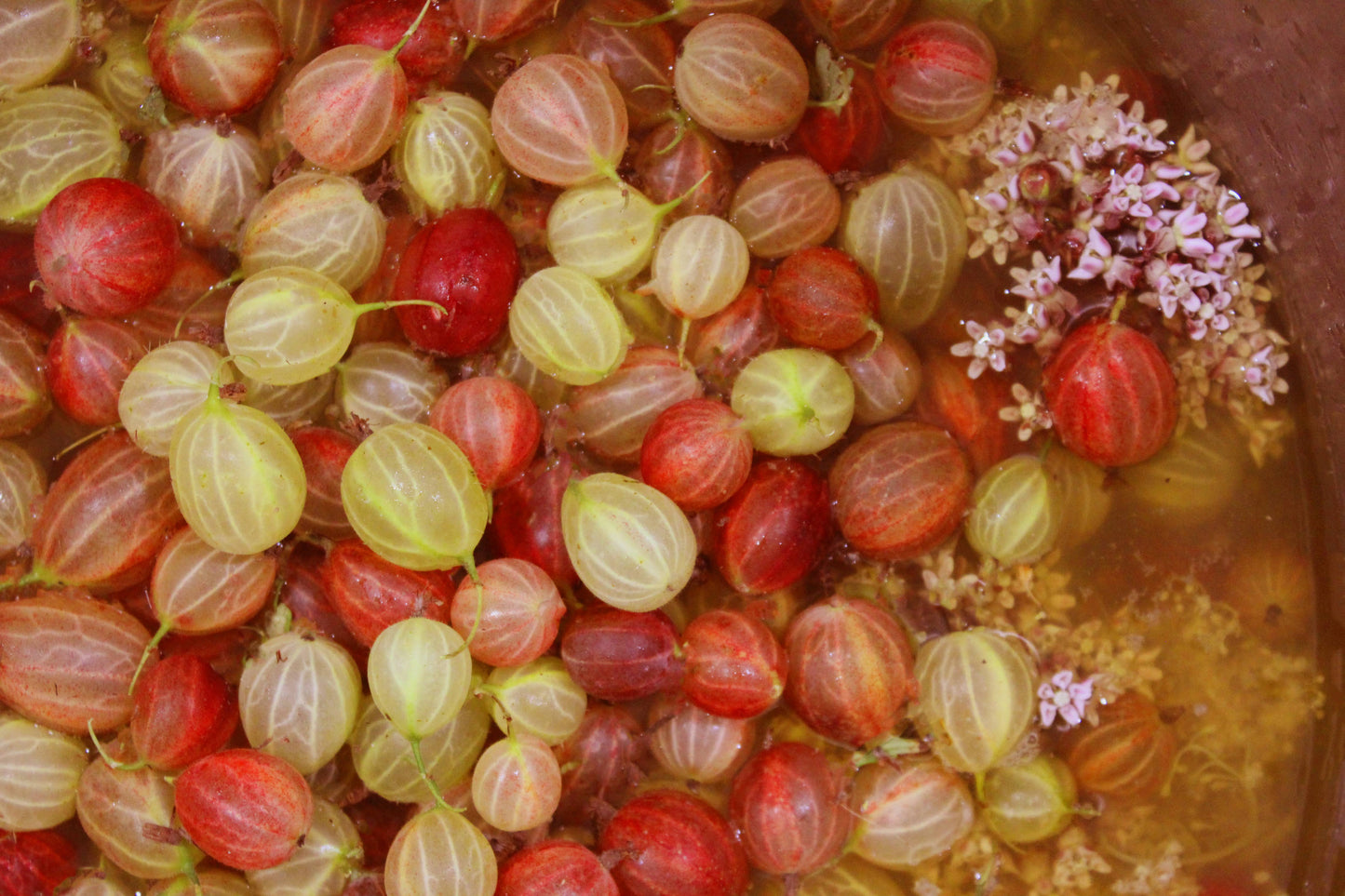 Gooseberry with Elderflower