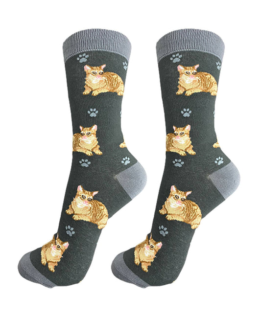 Orange Tabby Cat Socks  - Unisex - Fun Novelty Dog Socks