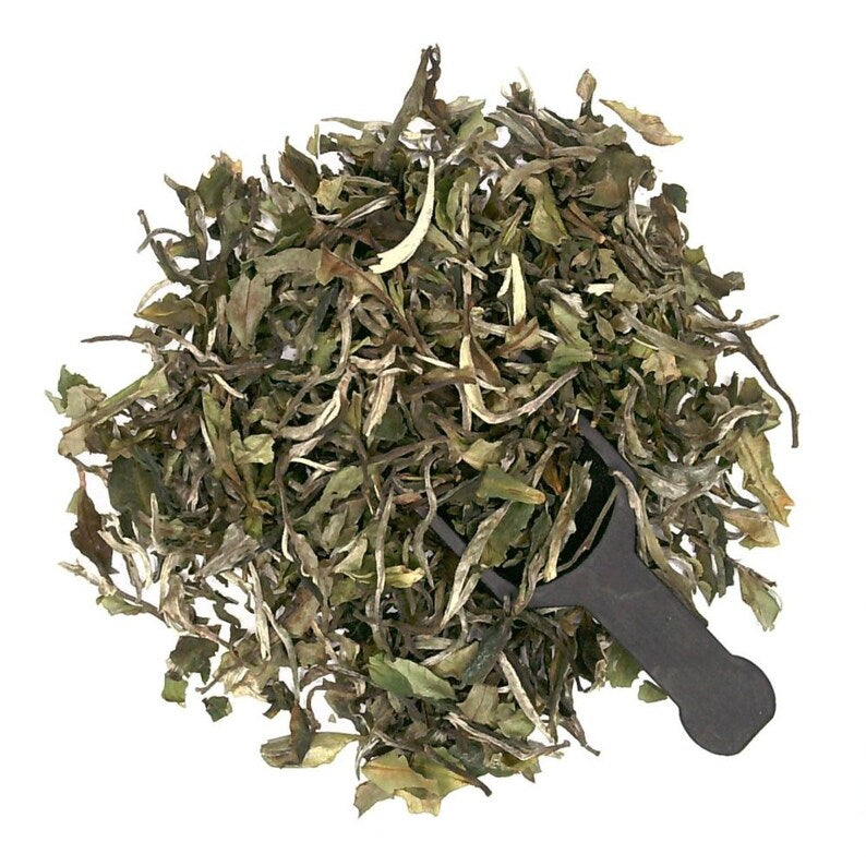 Lady Alaynah White Tea