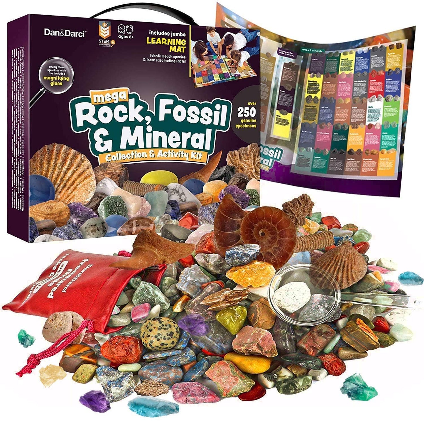 Mega Rock, Fossil & Mineral Collection